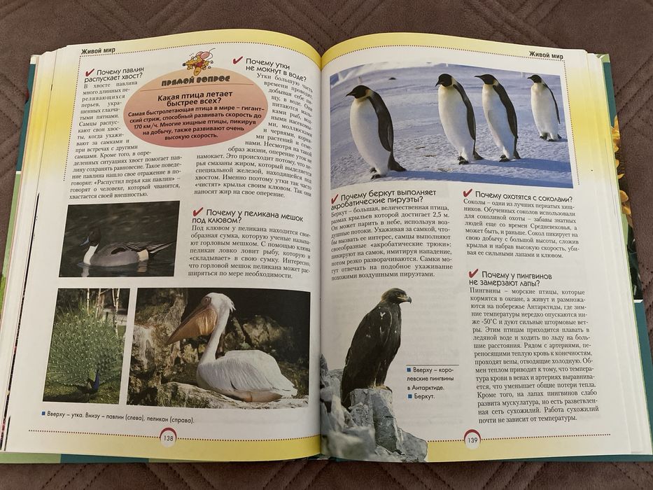 Энциклопедия для детей Хочешь знать почему?