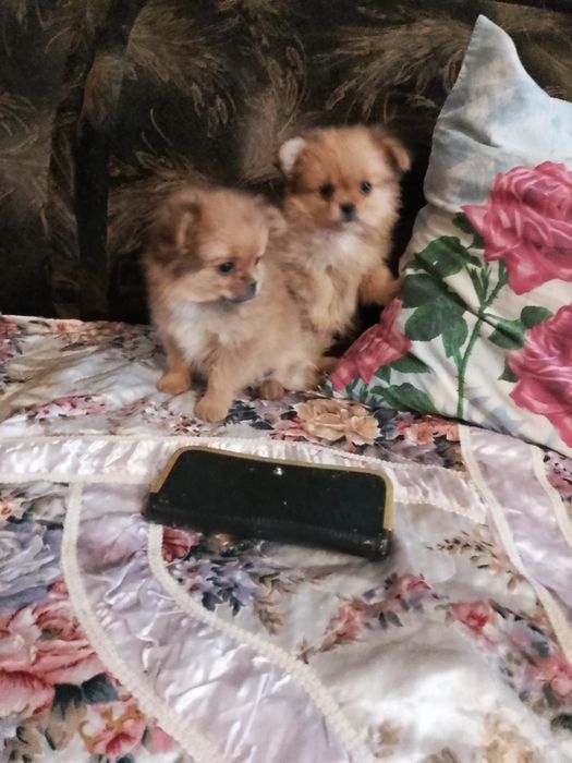 Мальчик и девочка