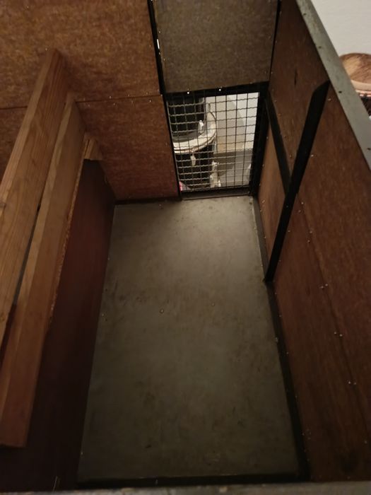 Atrelado carga e cães de caça