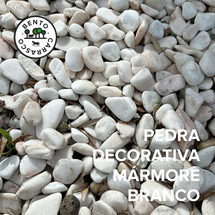 Seixo Rolado - Pedras Decorativas