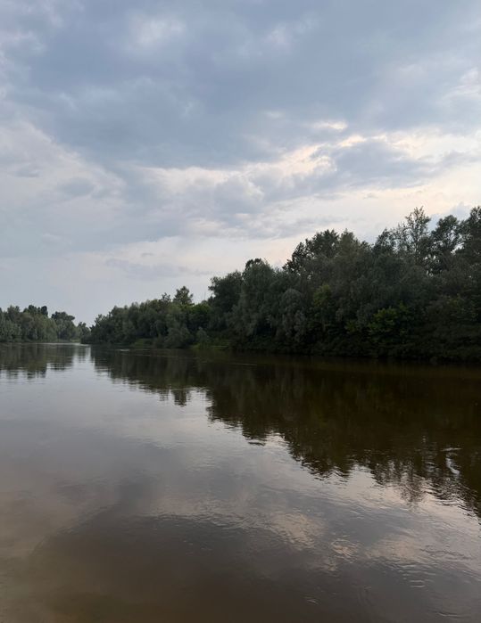 Здам в оренду Будинок Riverside 1 біля річки Десна , Любич на пляжі