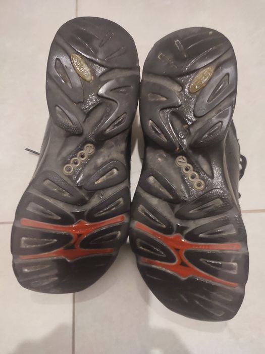 Buty Ecco Biom r43.