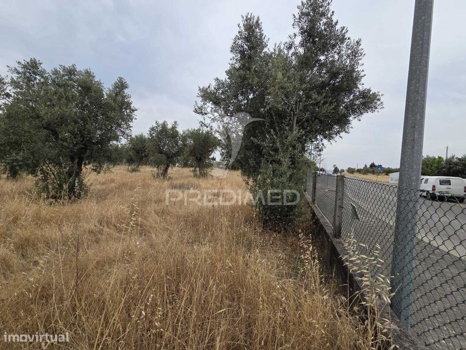 Lote de Terreno