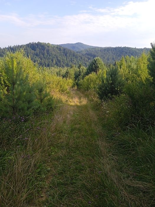 Подобова оре byнда квартири