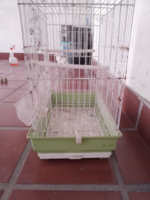 vendo duas gaiolas uma média e uma pequena