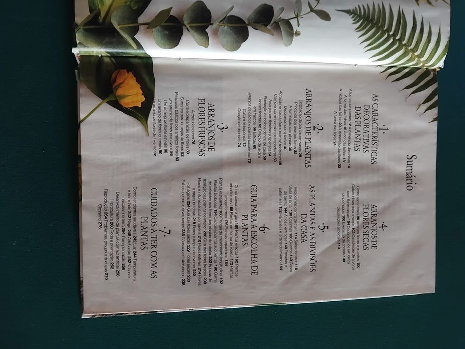 O Jardim Em Casa