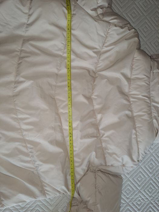 Kispo bege Springfield