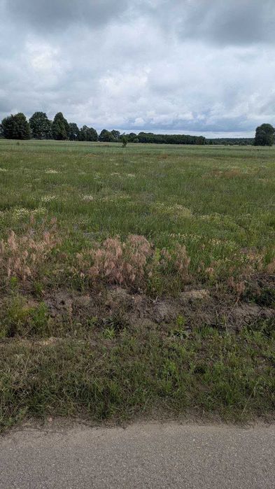 Działka Z warunkami zabudowy 1000 m² - Widok 3