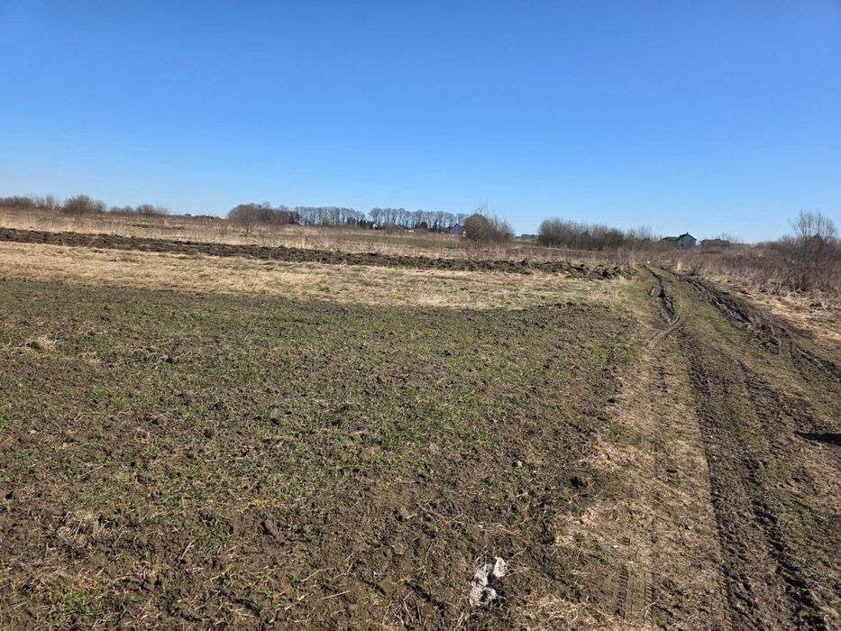 Ділянка с. Давидів під будівництво біля лісу 20 соток