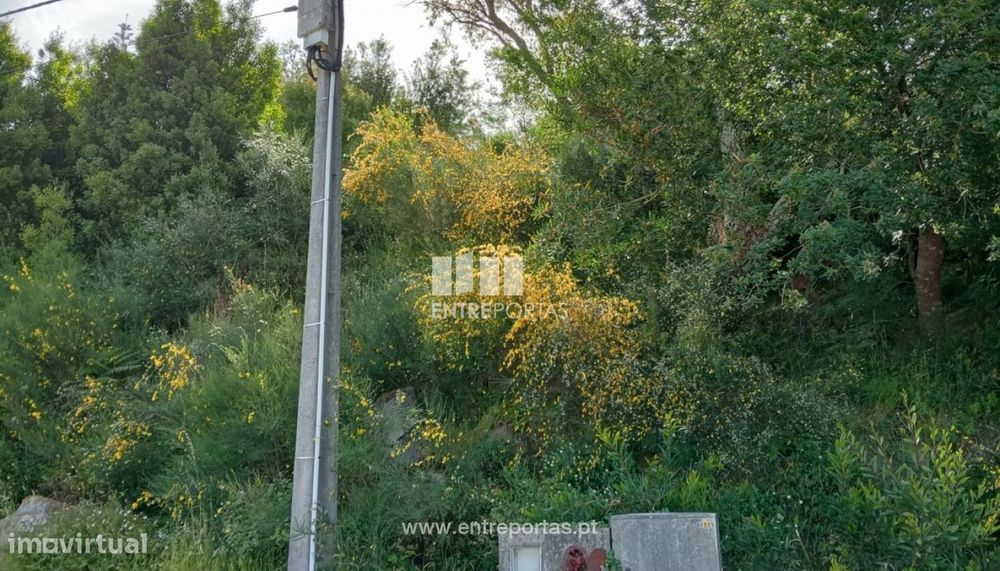Lote de terreno para venda, Âncora, Caminha — Âncora, Viana do Castelo