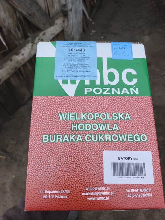 Sprzedam nasiona buraku cukrowego