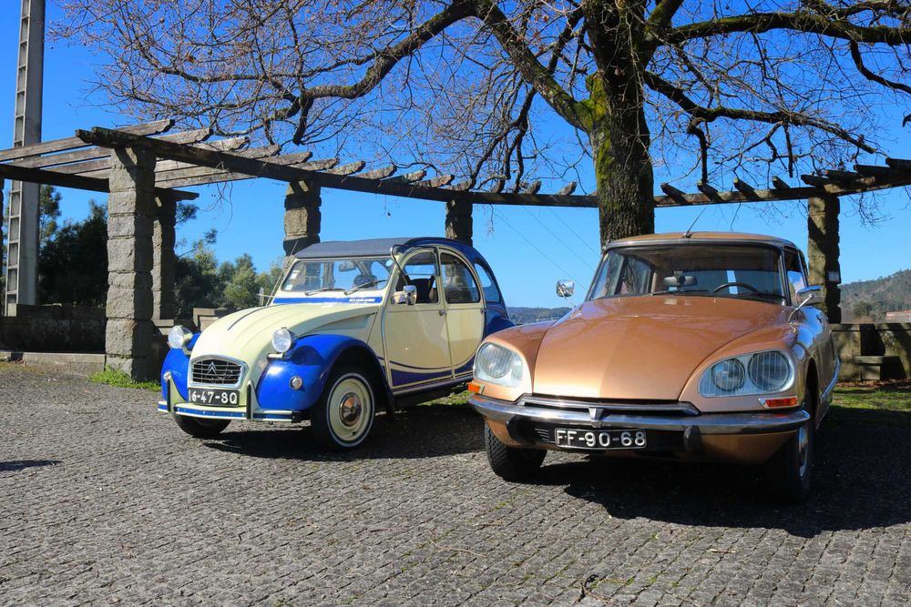 Clássicos para Casamentos/Eventos