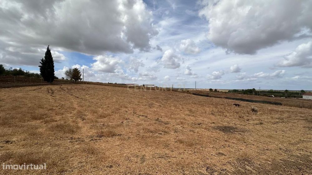 Quinta em Trigaches — 1 hectare em comunhão com a natureza
