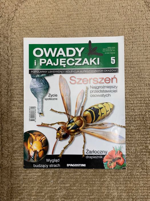Prawdziwe owady i pajęczaki - gazetka nr 5 z kolekcji - szerszeń