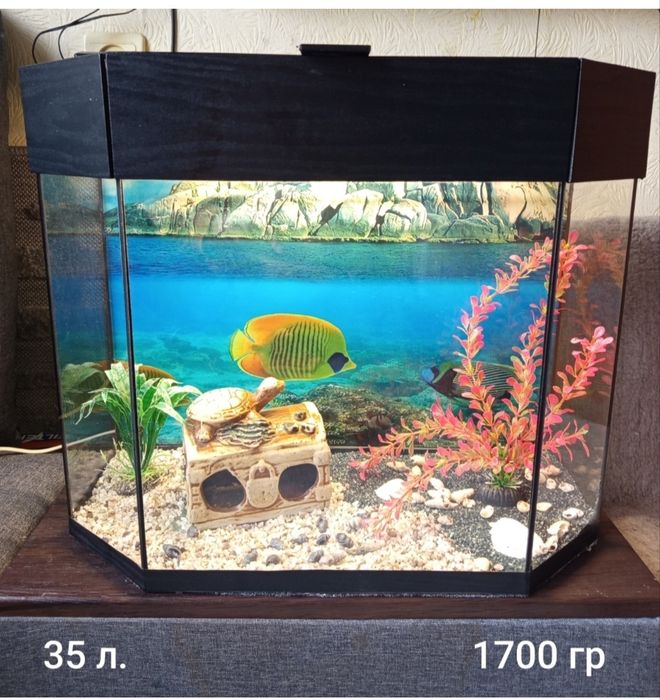 Аквариумы на любой вкус