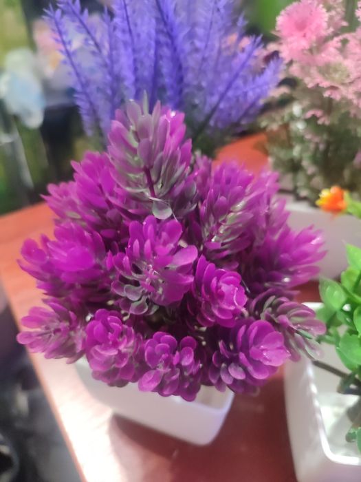 Яскраві штучні рослини . 7 штук.