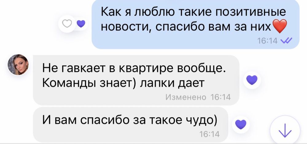 Малыши цверга в поисках семьи