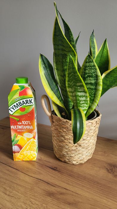 Home&You kosze,doniczki  3szt.