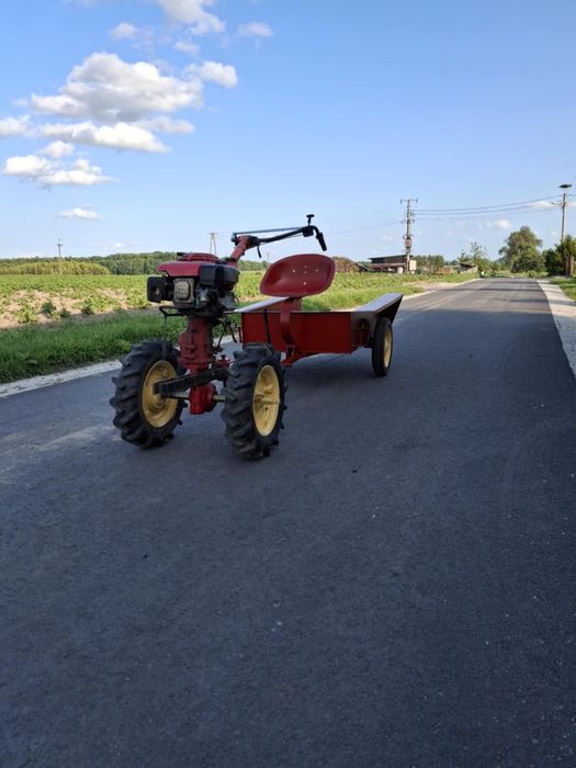 Sprzedam dzika w super stanie !