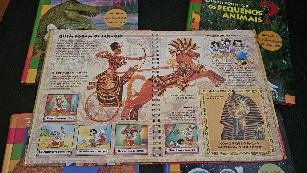 (Disney) Coleção Queres Conhecer? (Usado) [Entrego em toda Lisboa]