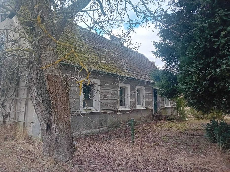 dom wolnostojący 6 km od Goleniowa