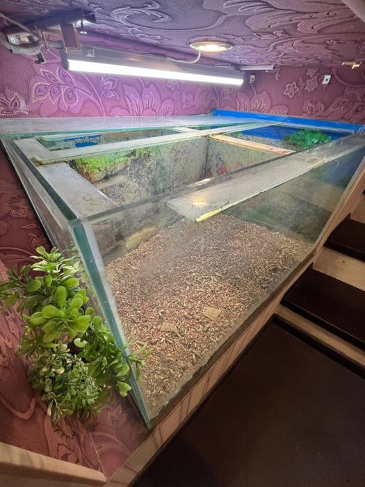 Віддам акваріум