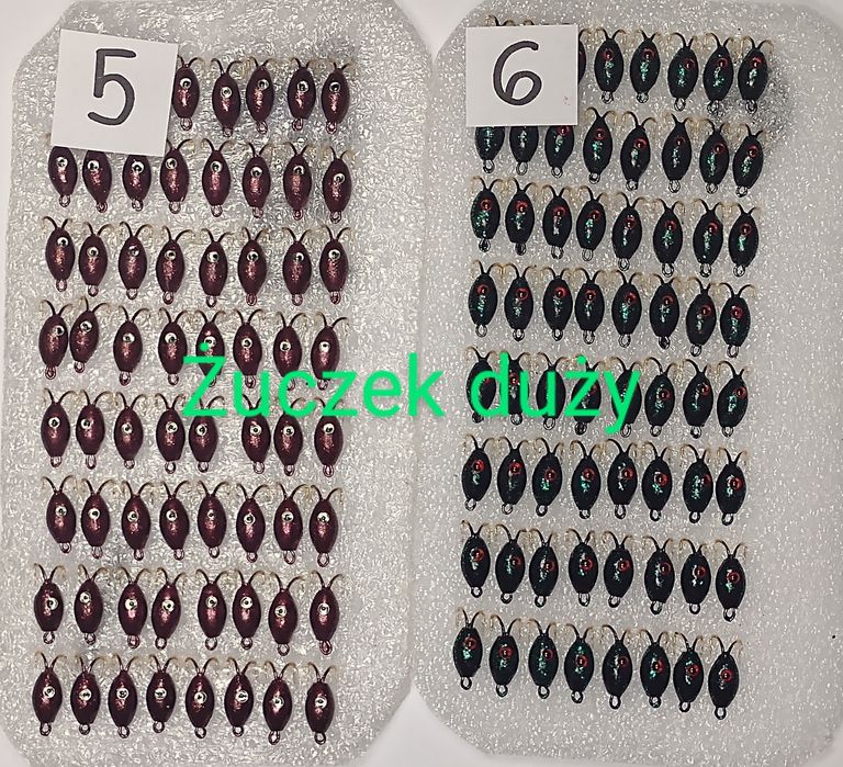 Żuczek podlodowy duży