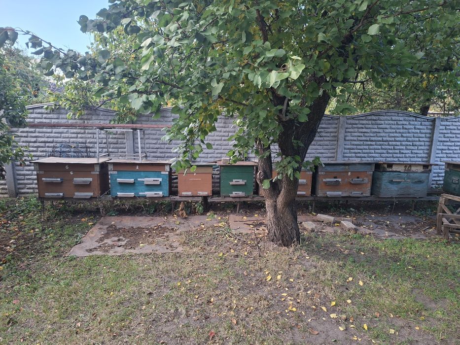 Продам вулики 9шт.з рамками.Самовивоз з ж/м Ігрень