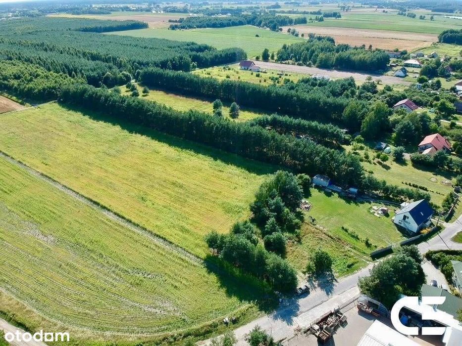 Budowlana | Zimnica | 1206 m2 | 137 zł m2
