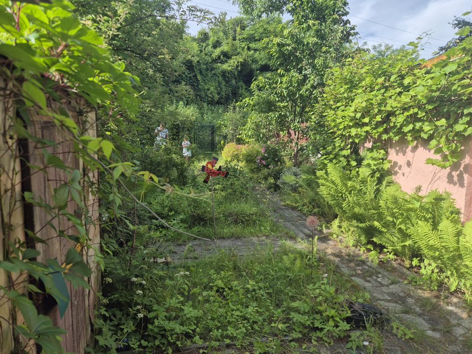 Sprzedam ogródek działkowy "Skłodowskiej Curie " Ruda Śląska - Widok 4