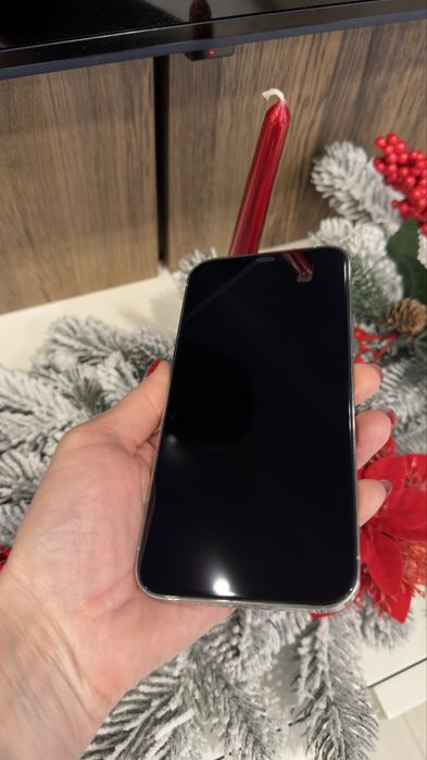 iPhone 12 Pro Max, Silver, 256 GB