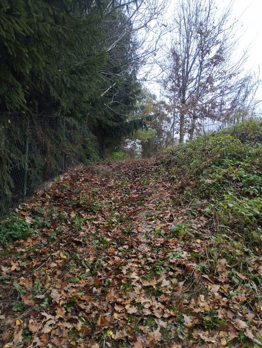 Sprzedam działkę budowlaną 23 ary, ze źródłem wody pitnej