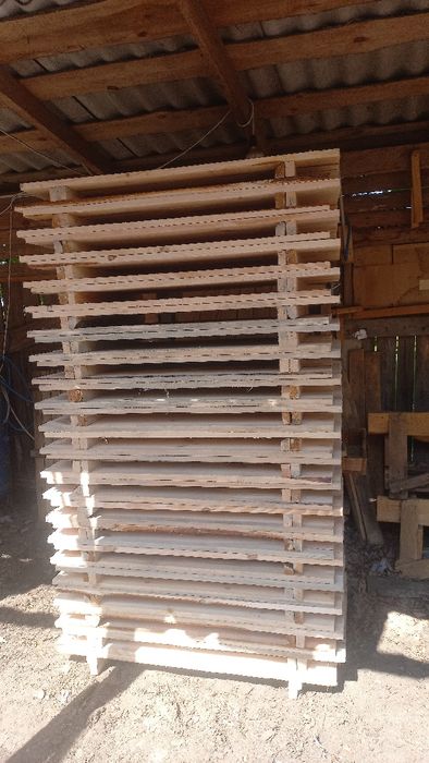 Щити, для равликів