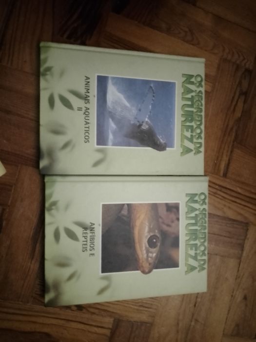 Açores Peservar-1 edicao15E-Baleias e Golfinhos-Sequeira/Fa.8E Desde2E