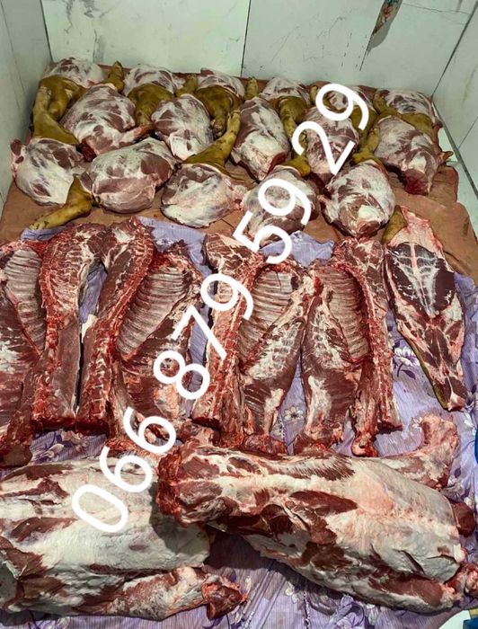 Продам тушки домашньої свинини