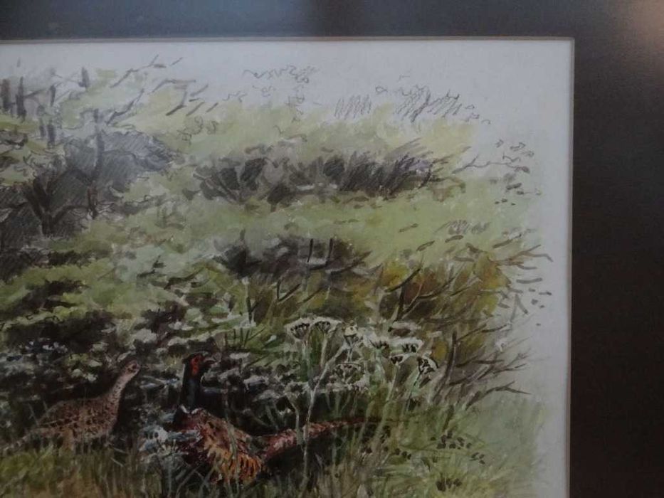 Obraz ,,Bażanty '' litografia barwna 1977 r