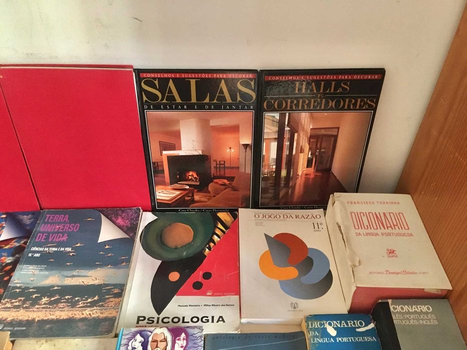 Lote de 38 livros