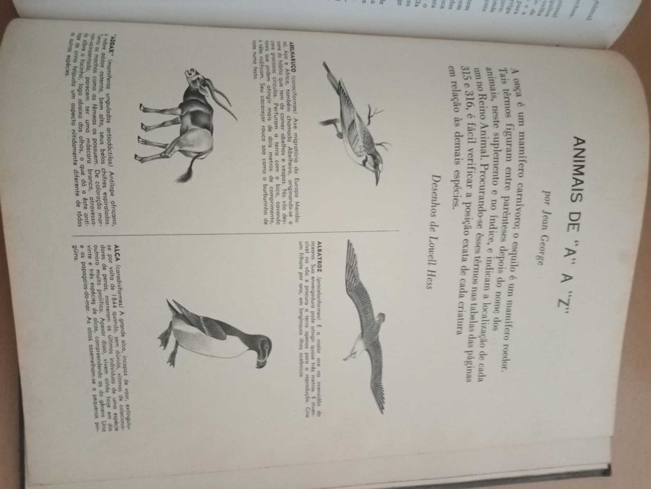 Maravlihas e Mistérios do Mundo Animal