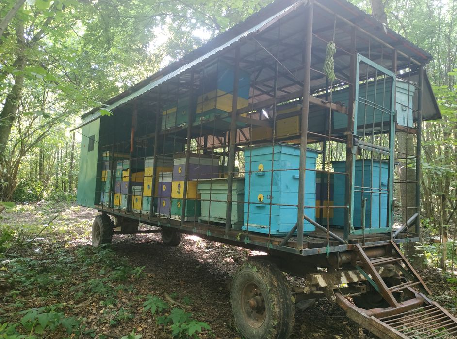 Павільйон пасічний на базі 2ПТС-4