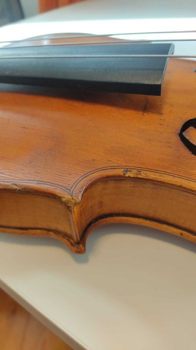 Viola D'Arco Centenária - Zottolo 1905