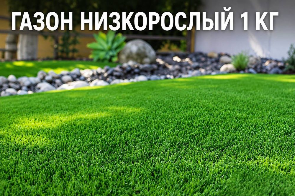 Низкорослый газон семена Семена газона лилипут Низкорослый газонная травосмесь Семена газонной травы