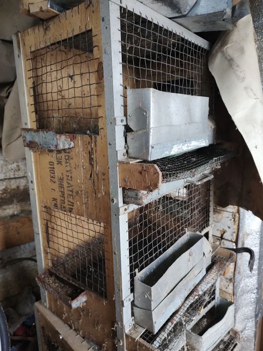 Клітки для перепілок , чи молодняка птиці.