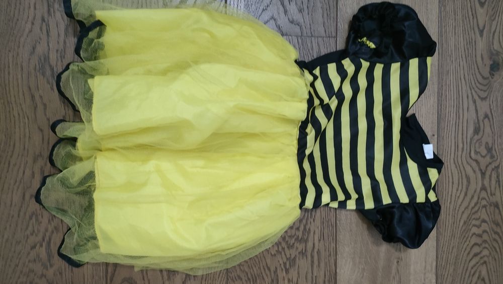 Strój na bal przebierańców