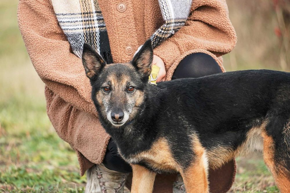 Edwardo szuka przyjaciela