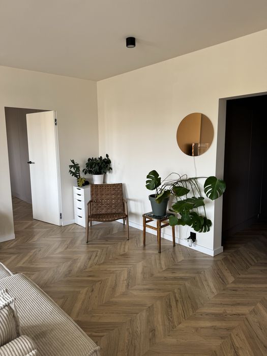 Mieszkanie na wynajem Świdnica