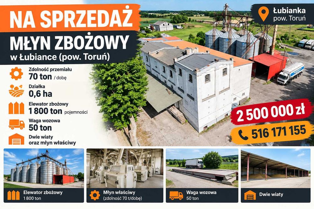 Młyn zbożowy w Łubiance (pow. Toruń)