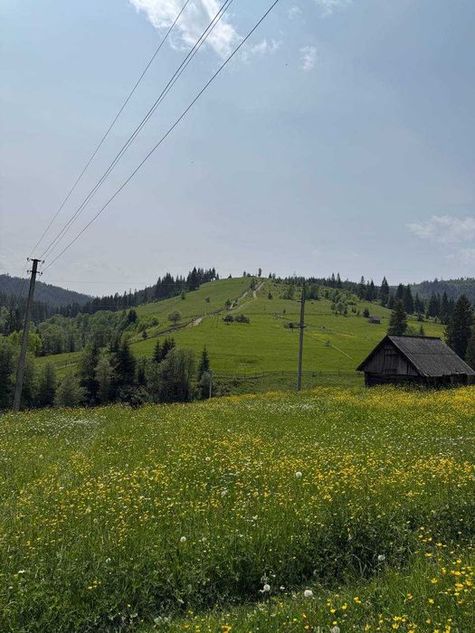 Ділянка в горах  з гарним краєвидом біля Буковеля