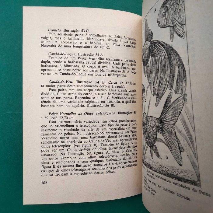 ABC do Aquário - D. Latimer-Sayer
