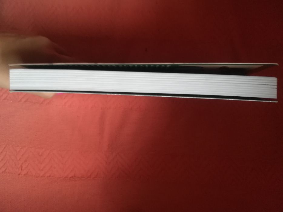 Isabel Allende - A cidade dos deuses selvagens