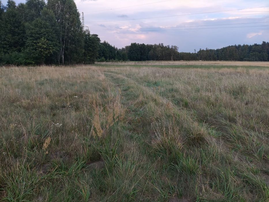 Działka budowlana 2149 m² z decyzją WZ • Basinów • Gmina Zabrodzie - Widok 2